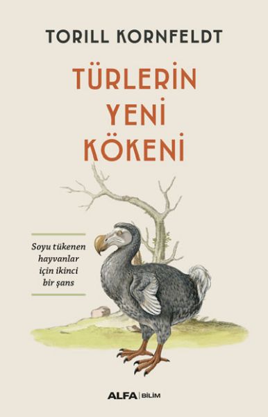 turklerin-yeni-kokeni