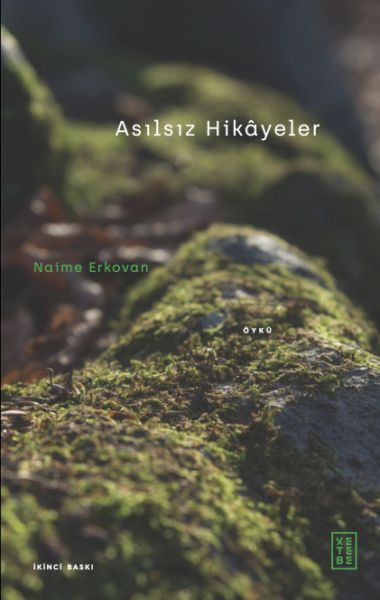 asilsiz-hikayeler