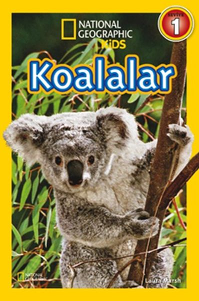 national-geographic-kids-koalalar