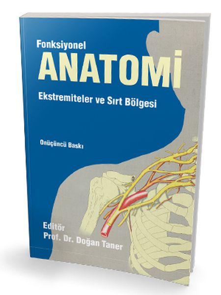 fonksiyonel-anatomi-ekstremiteler-ve-sirt-bolgesi