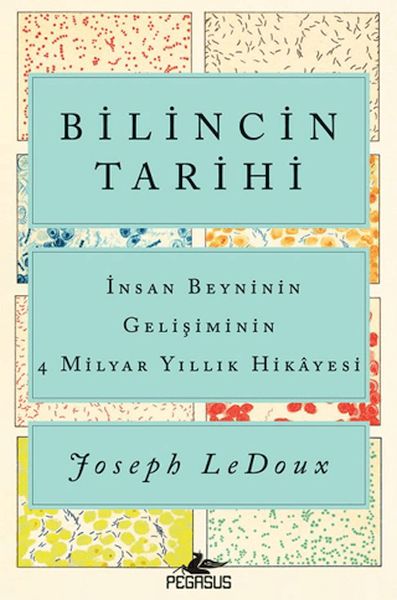 bilincin-tarihi-insan-beyninin-gelisiminin-4-milyar-yillik-hikayesi