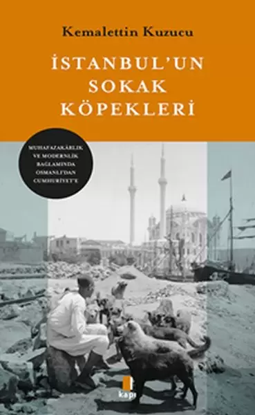 istanbul-un-sokak-kopekleri