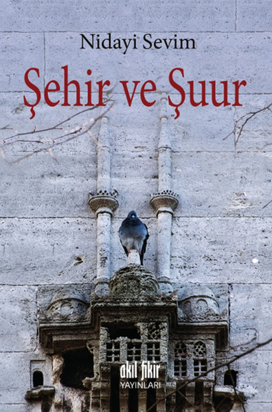 sehir-ve-suur