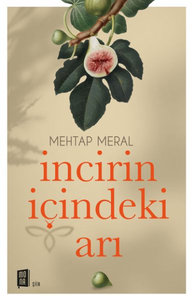 incirin-icindeki-ari