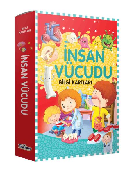 bilgi-kartlari-insan-vucudu-20992