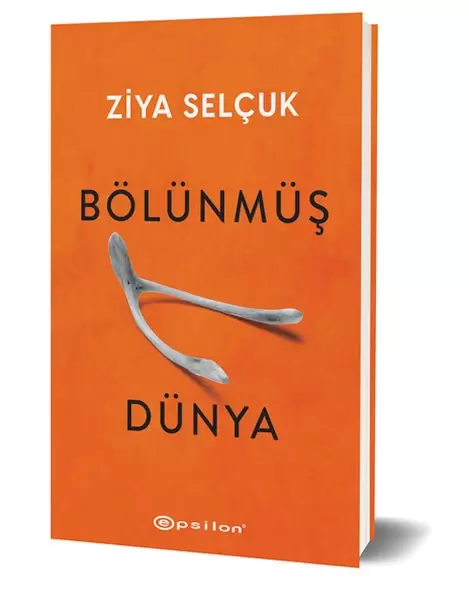 bolunmus-dunya