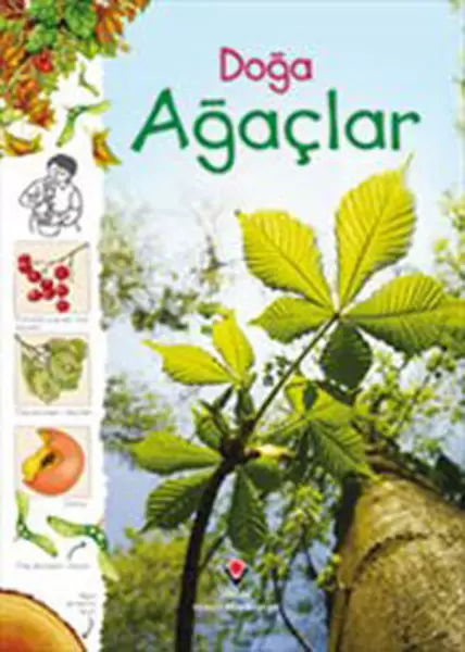 doga-agaclar