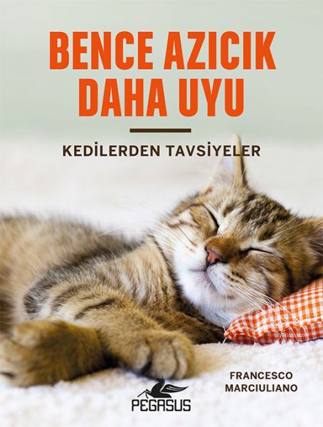 bence-azicik-daha-uyu-kedilerden-tavsiyeler-ciltli