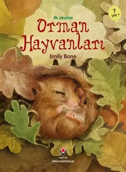 ilk-okuma-orman-hayvanlari