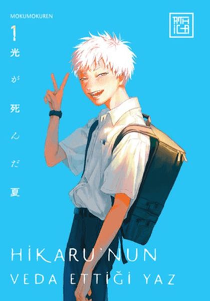 hikaru-nun-veda-ettigi-yaz-1