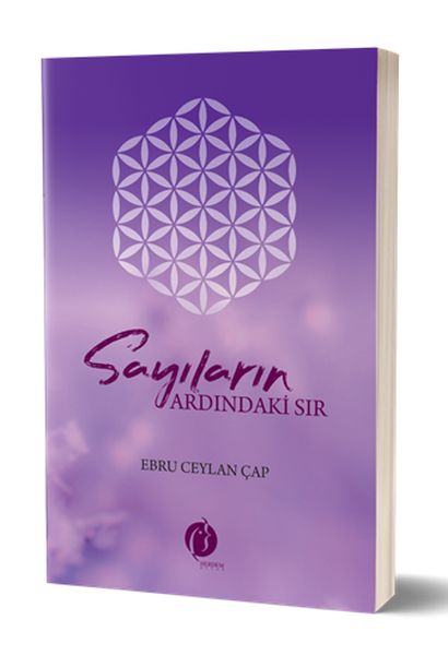 sayilarin-ardindaki-sir-228270