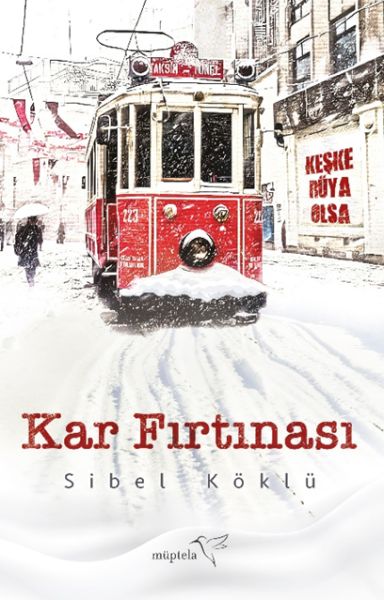 kar-firtinasi-228661