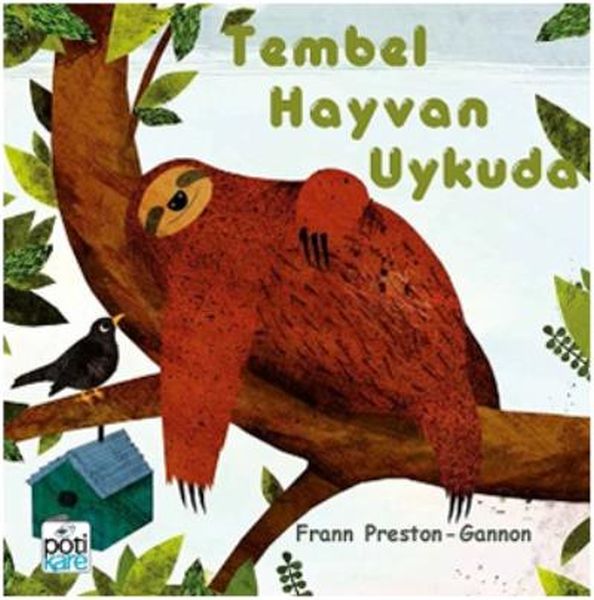 tembel-hayvan-uykuda