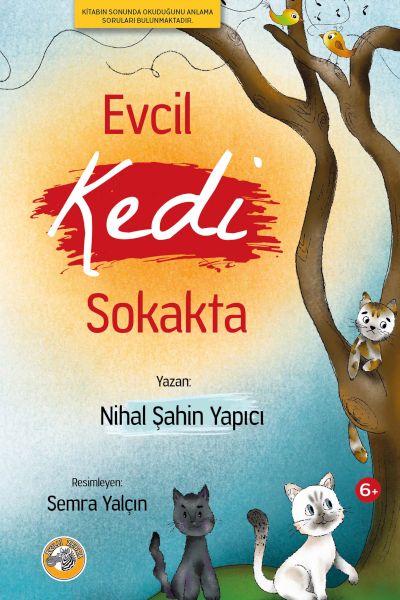 evcil-kedi-sokakta