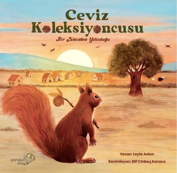 ceviz-koleksiyoncusu