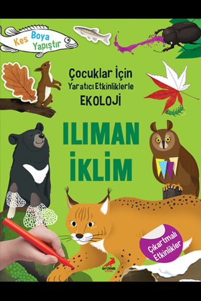 iliman-iklim-cocuklar-icin-yaratici-etkinliklerle-ekoloji-kes-boya-yapistir