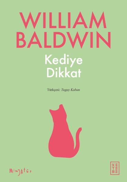kediye-dikkat-226059
