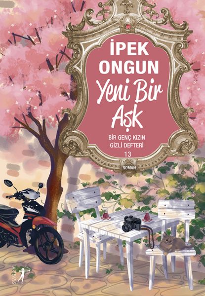 bir-genc-kizin-gizli-defteri-13-yeni-bir-ask