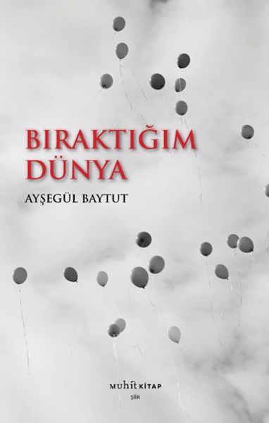biraktigim-dunya