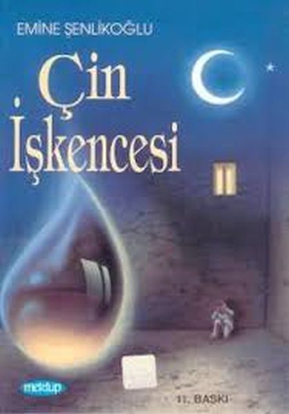 cin-iskencesi