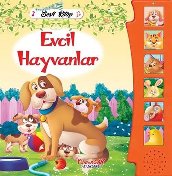 evcil-hayvanlar-sesli-kitap