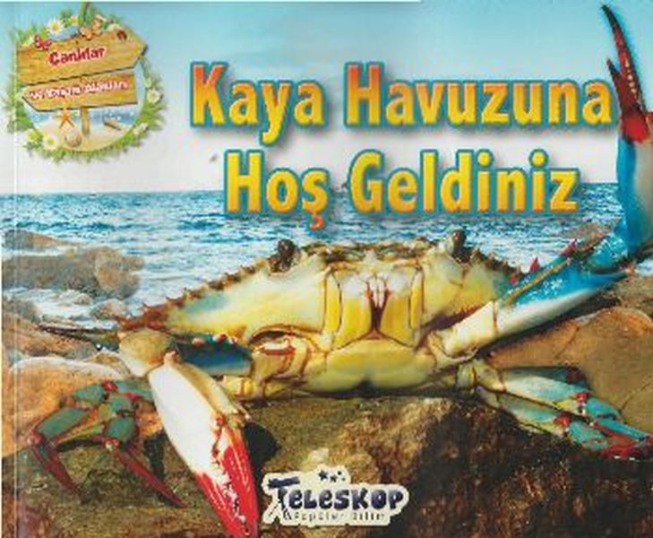 kaya-havuzuna-hos-geldiniz