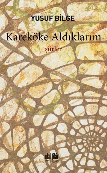 karekoke-aldiklarim