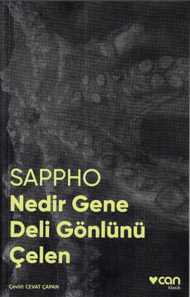 nedir-gene-deli-gonlunu-celen-fotografli-klasikler