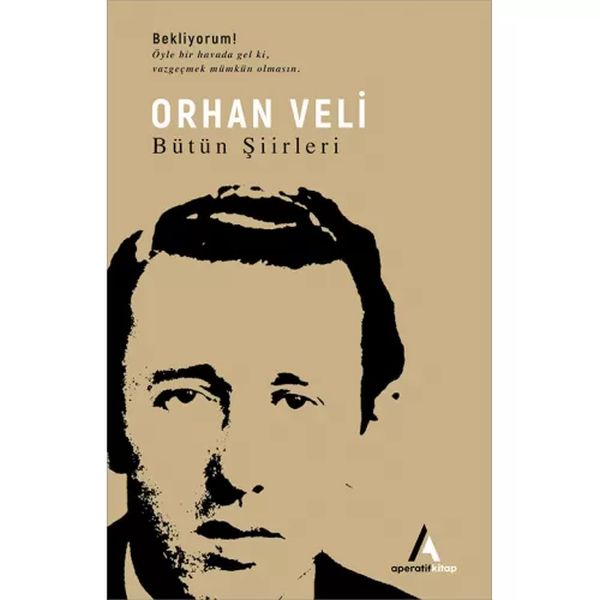 orhan-veli-butun-siirleri-86351