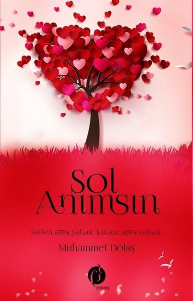 sol-animsin