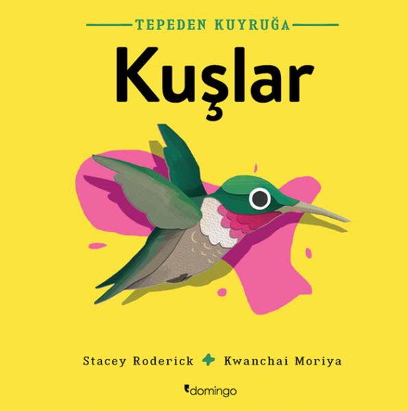 tepeden-kuyruga-kuslar