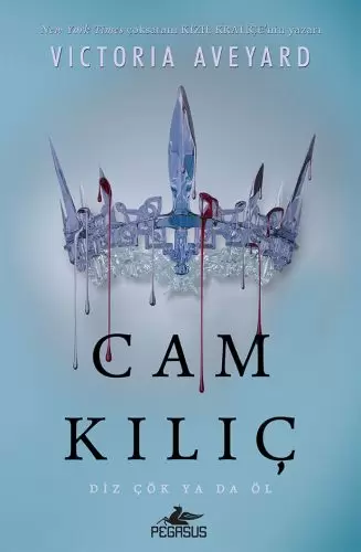cam-kilic-ciltli