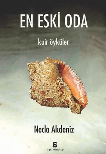 en-eski-oda