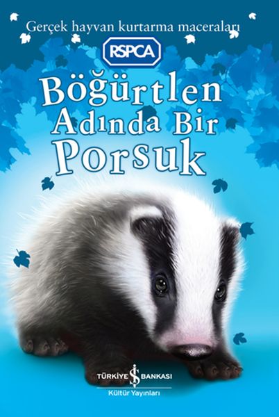 bogurtlen-adinda-bir-porsuk