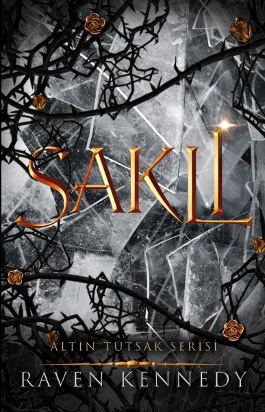 sakli-205621