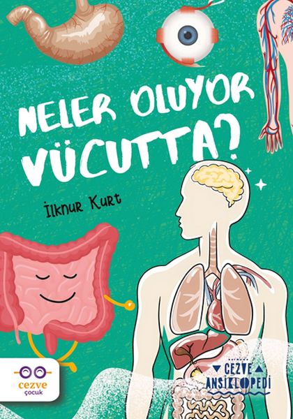 neler-oluyor-vucutta-cezve-ansiklopedi