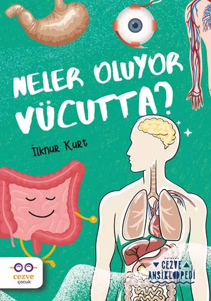 neler-oluyor-vucutta-cezve-ansiklopedi