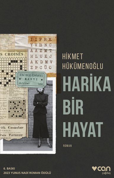 harika-bir-hayat