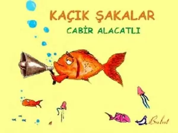 kacik-sakalar