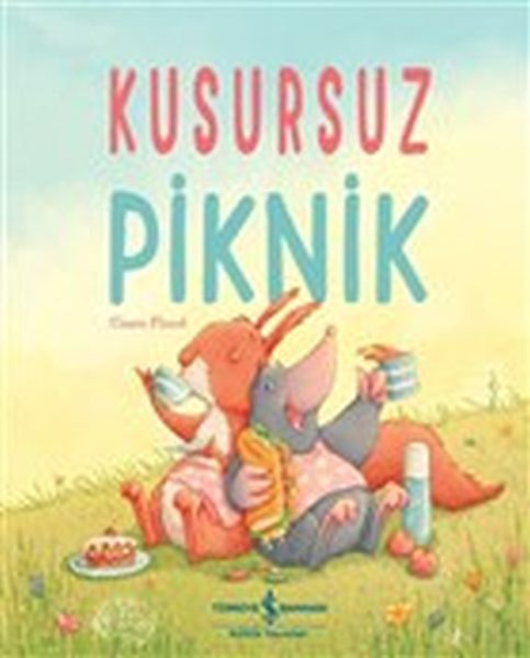 kusursuz-piknik