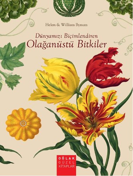 dunyamizi-bicimlendiren-olaganustu-bitkiler