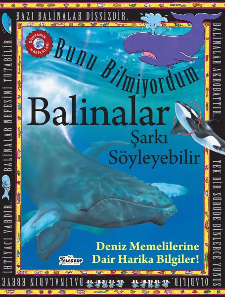 balinalar-sarki-soyleyebilir-bunu-bilmiyordum-deniz-memelilerine-dair-harika-bilgiler