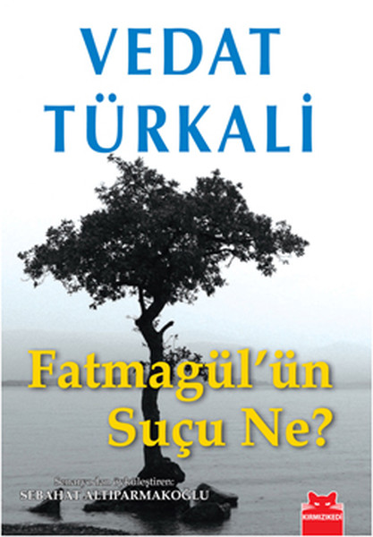 fatmagul-un-sucu-ne