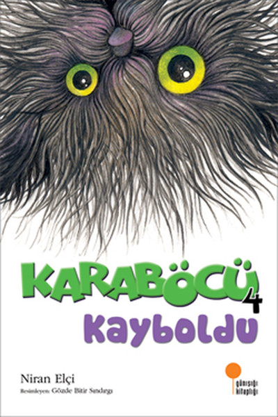 karabocu-kayboldu