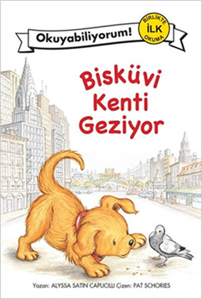 biskuvi-kenti-geziyor