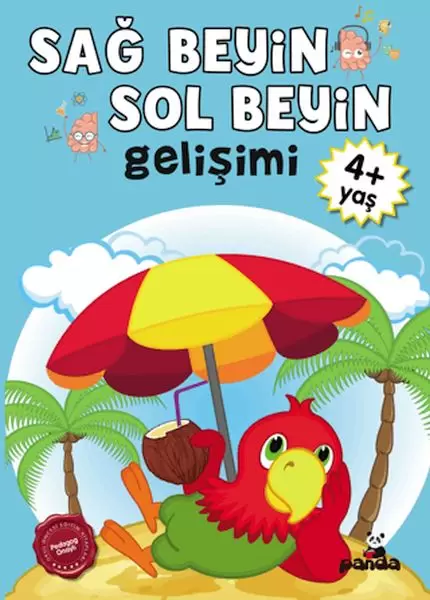 sag-beyin-sol-beyin-gelisimi-4-yas