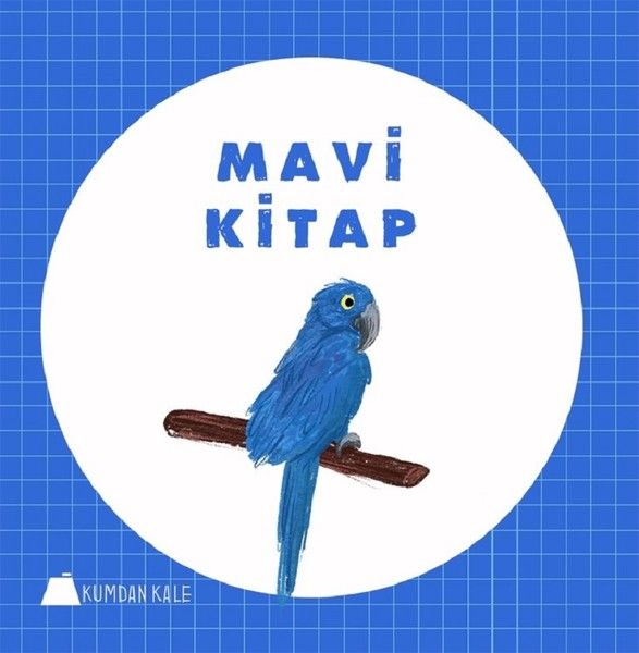 mavi-kitap-159384