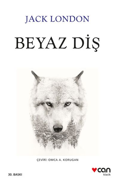 beyaz-dis-189920