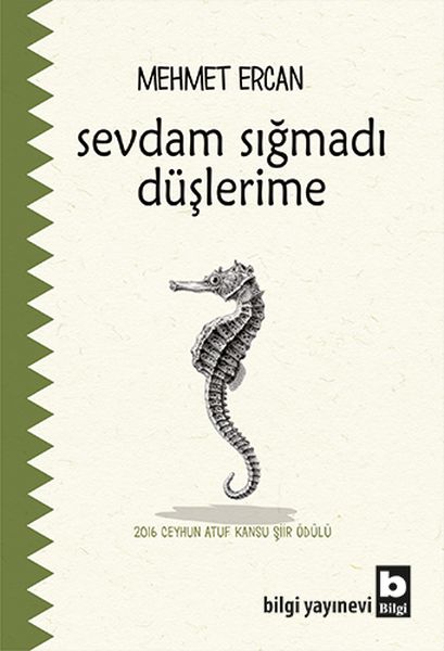 sevdam-sigmadi-duslerime