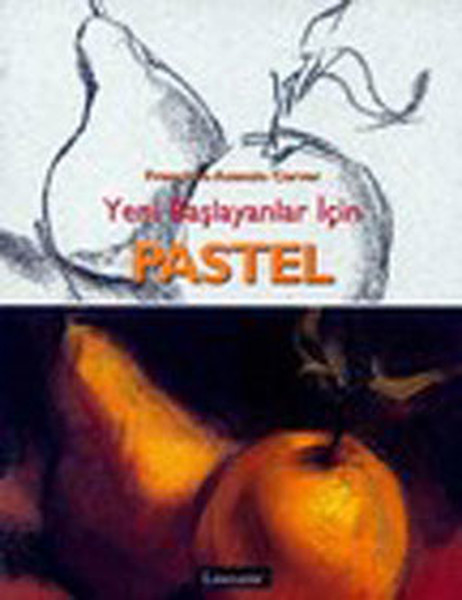 pastel-yeni-baslayanlar-icin